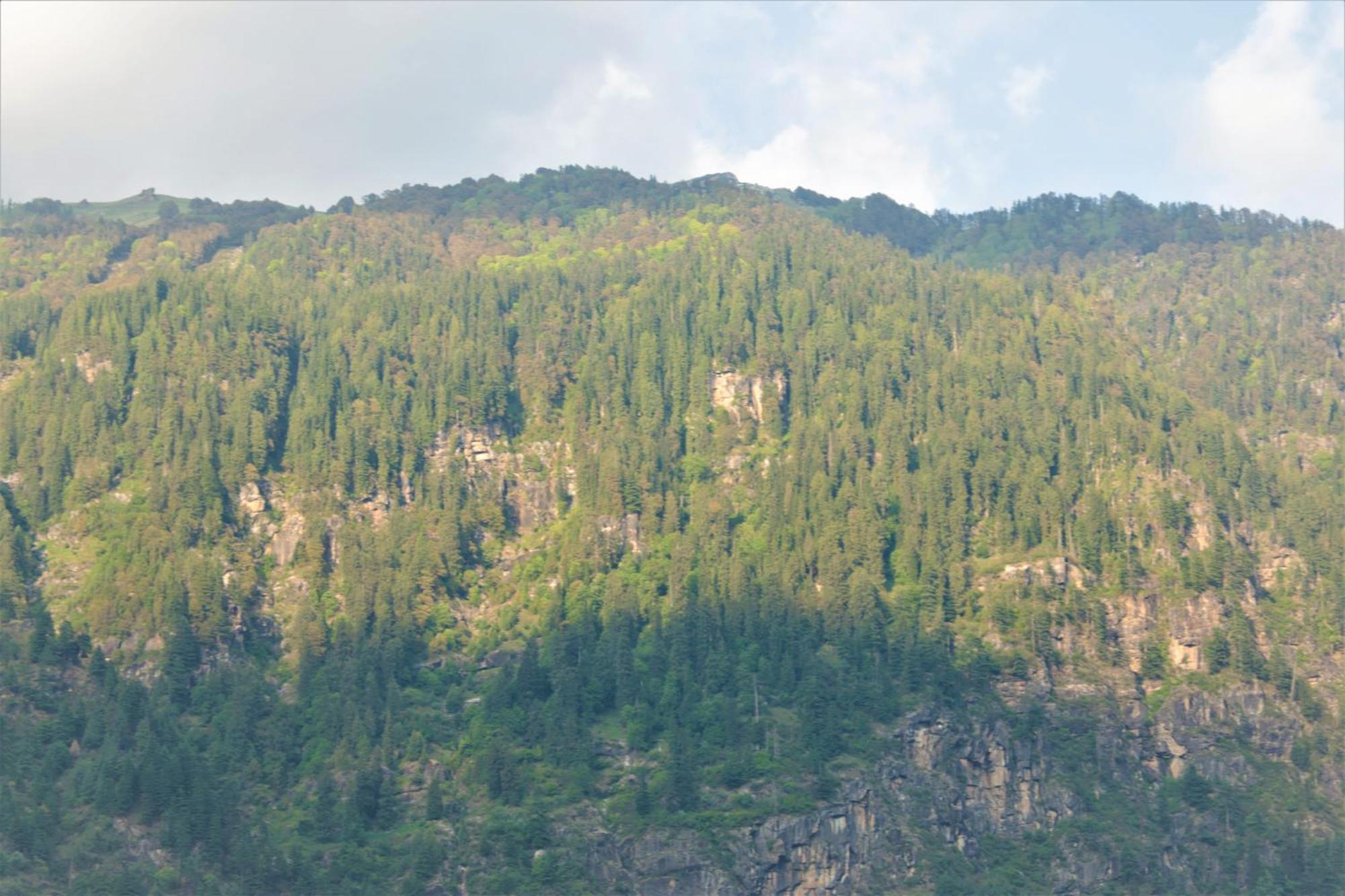 Beholden Stay And Cafe - Manali, Rooms & Dorms Exterior photo